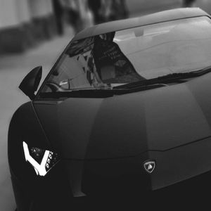 Meet your Posher, Leo